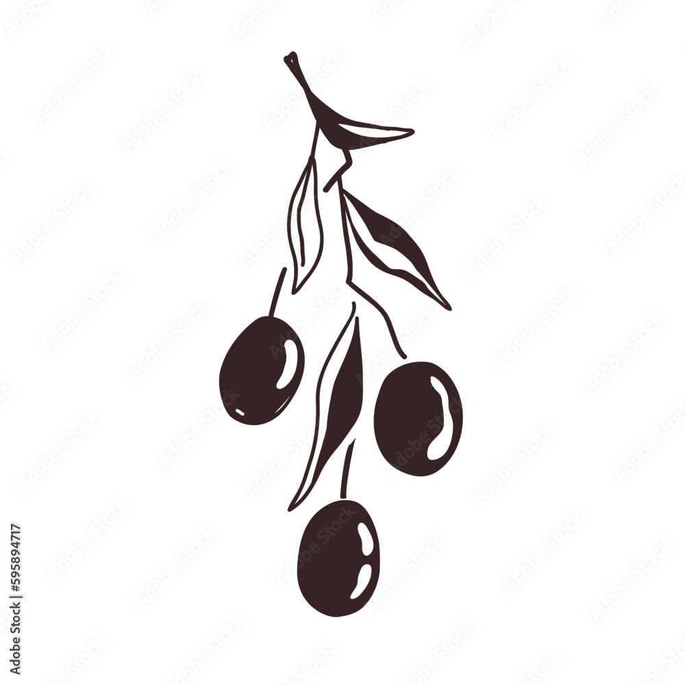 Olive Branch with two fruits and leaves, outline black palette, doodle hand drawn style. Vector isolated Illustration, premium olive oil logo Olive Branch with two fruits and leaves, outline black palette, doodle hand drawn style. Vector isolated Illustration, premium olive oil logo