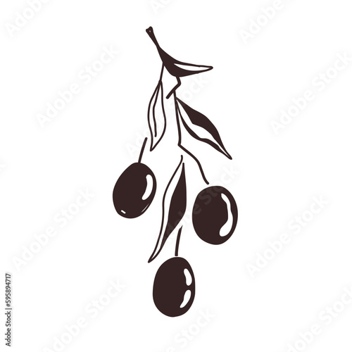 Olive Branch with two fruits and leaves, outline black palette, doodle hand drawn style. Vector isolated Illustration, premium olive oil logo