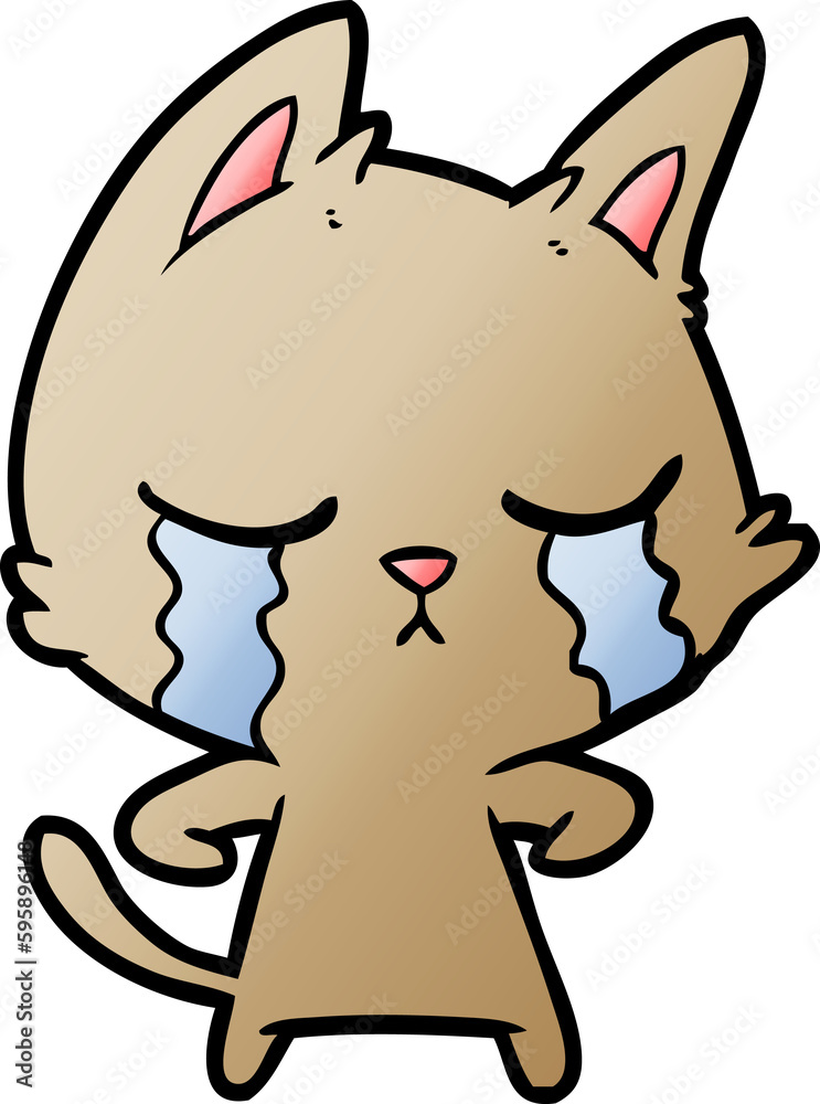 crying cartoon cat