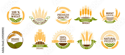 Wheat ears icons, cereal spikes of rye, barley or rice millet, vector organic product labels. Wheat grain food signs of premium quality bread or flour and bakery, organic wheat laurels photo