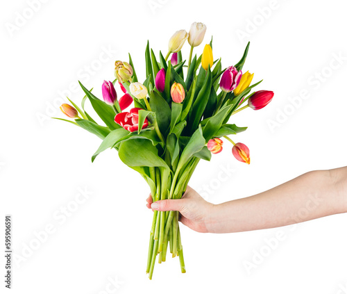 Giving tulip flowers as a gift. Isolated on transparent white background #595906591