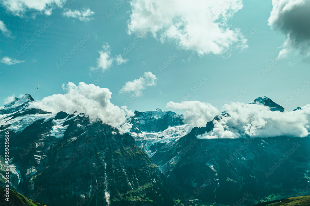 Summer mountain landscape with green grass and mountain peaks.