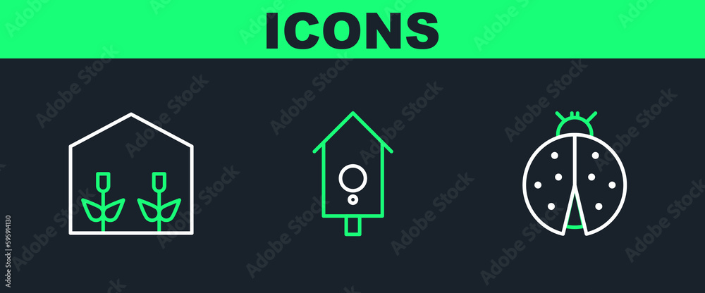 Set line Ladybug, Home greenhouse and plants and Retro wall watch icon. Vector