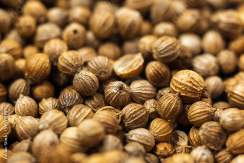 Coriander Seeds close up macro, products or health products based on coriander seeds.