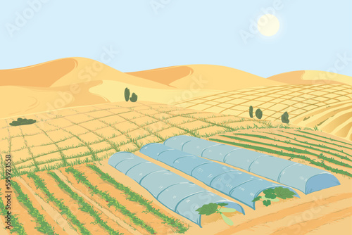 Vegetable plantations in the desert. The concept of combating desertification and droughts, creating fertile soils. Beds with zucchini in the sand. Vector illustration.