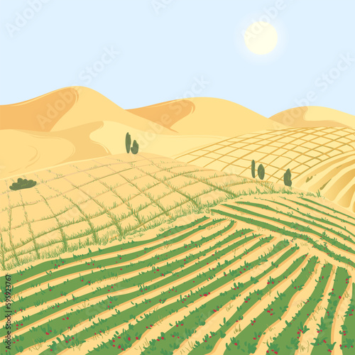 Landscape with a vegetable farm in the desert. Combating desertification and drought is a global problem. Concept of application of the Desert management program. New technologies for soil improvement
