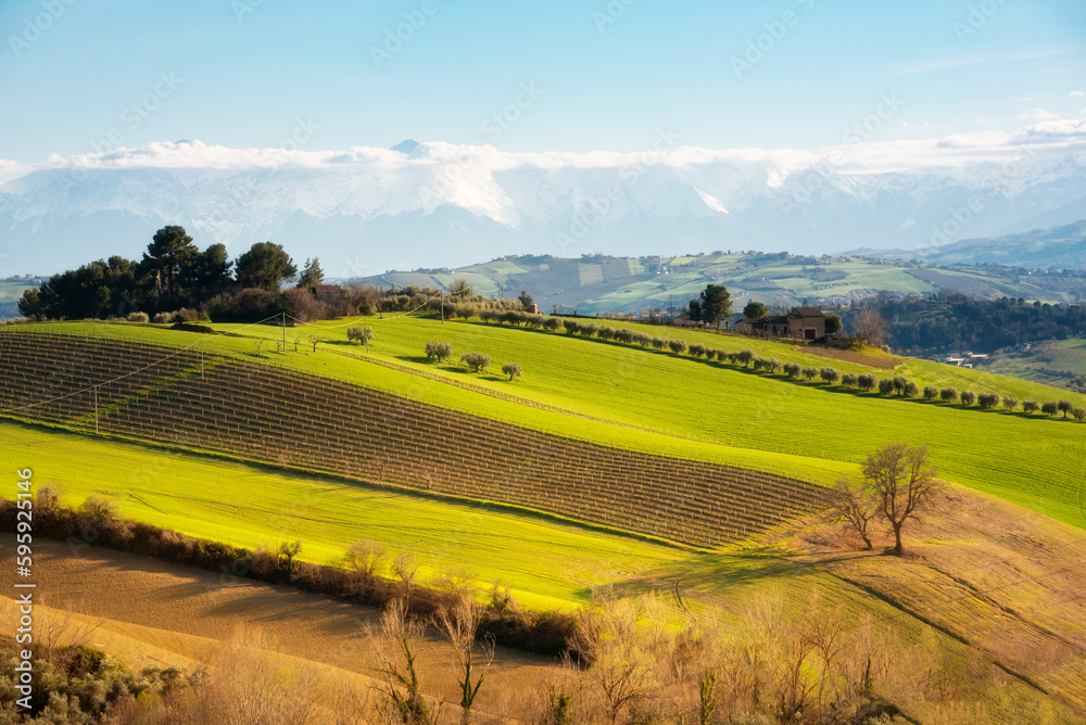 Countryside landscape, green agricultural fields among hills