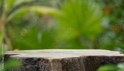 Wood tabletop podium floor in outdoors blur green palm leaf tropical forest nature landscape background.cosmetic natural product mock up placement pedestal stand display,jungle summer concept.