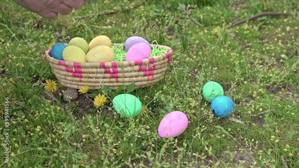 Close up from mans hand is collecting colored eggs inside basket outside in spring