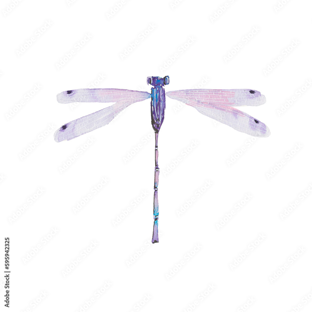 dragonfily, flyer, insect,bug, hexapod, flier, fauna, nature, art, watercolour, design, styling, isolat, abstraction, violet, purple dragonfily, flyer, insect,bug, hexapod, flier, fauna, nature, art, watercolour, design, styling, isolat, abstraction, violet, purple