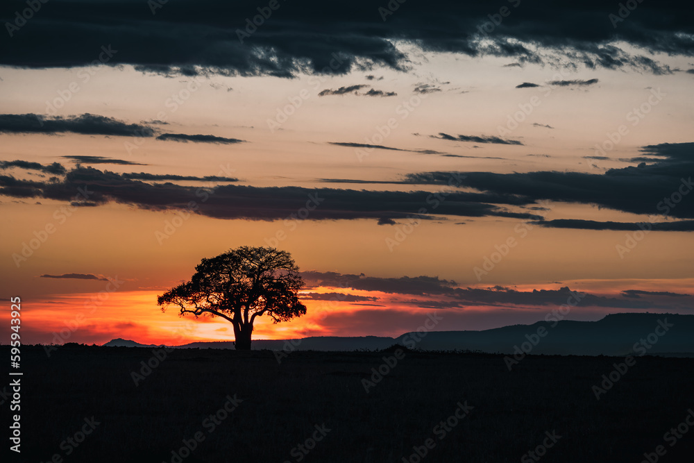 Single Acacia tree at sunrise in the Masai Mara, Kenya. Silhouette against colourful sky.