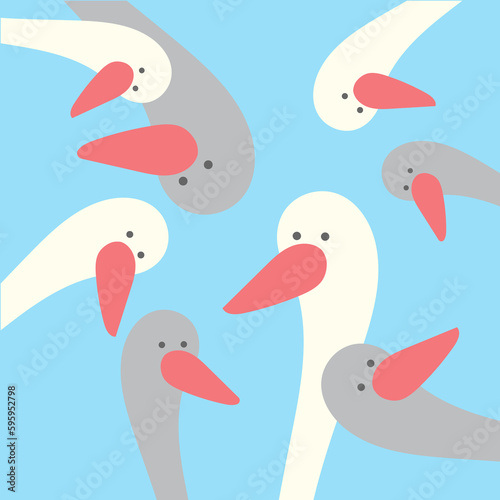 Portrait of a white and gray gooses. birds heads with beak. Duck with a light feather. Domestic farm bird.