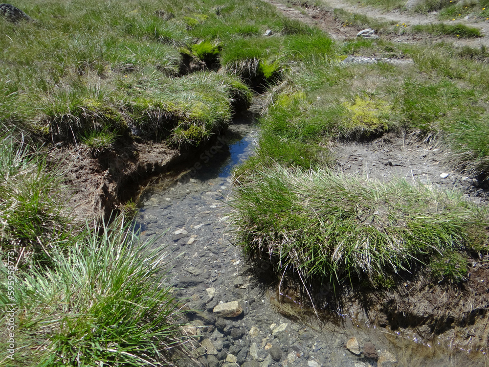 a river with crystal clear water flowing down from the mountain peaks a river with crystal clear water flowing down from the mountain peaks