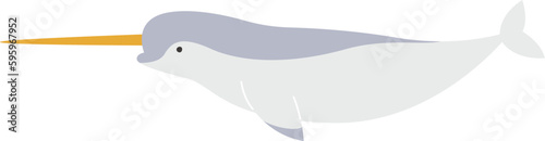 Narwhal Whale Animal