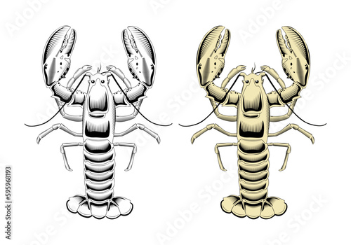 Vector drawing of a black and white graphic large sea lobster