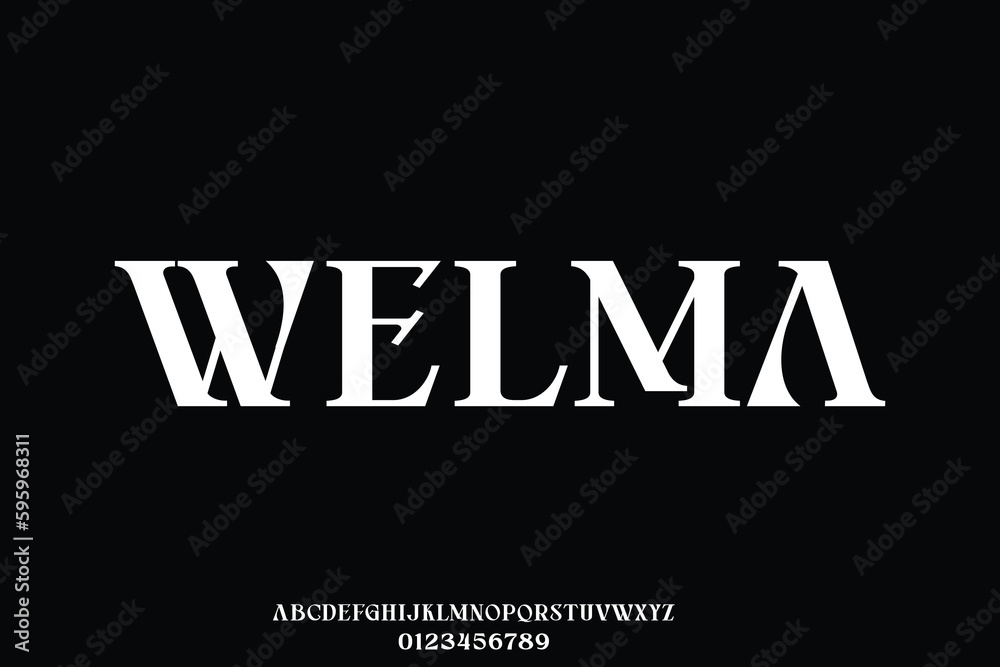 Unique decorative serif style display font vector