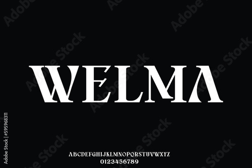 Unique decorative serif style display font vector