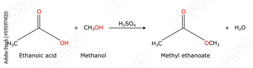 Dehydration reaction between ethanoic acid (carboxylic acid) and methanol (alcohol) to give methyl ethanoate esterfication of acetic acid and methyl alcohol Methyl acetate organic chemistry chemical