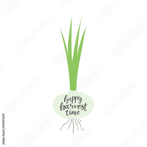 Happy harvest time handwritten typography quote  lettering  onion hand drawn illustration. Flat style design  isolated vector. Summer  autumn print element  sticker  badge  farming  harvest