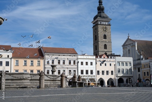 pidgeons in the square of Premysl Otakar II. in city of Ceske Budejovice Budweis czech republic, center of Europe