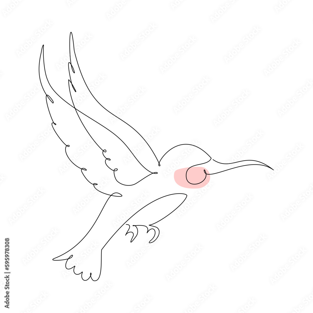 Single line drawing of a hummingbird. Vector illustration for bird animal design. Single line drawing of a hummingbird. Vector illustration for bird animal design.