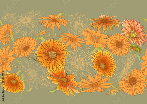 Calendula medicinal herbs and flowers seamless pattern, background. Vector illustration.
