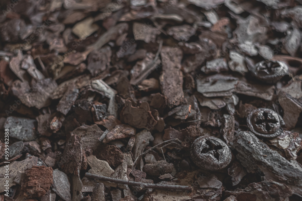 Substrate for orchids. Mulch for decoration and gardening. Forest carpet. Background from wood chips. Pine bark. Pine wood chips for orchids and the garden.