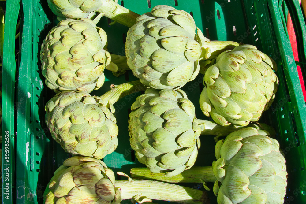 Fototapeta premium fresh artichokes in a fruit crate, healthy mediterranean vegetables