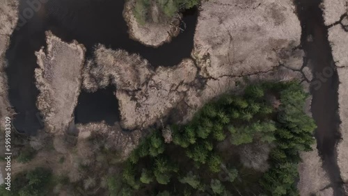 Overgrown river Abuls in spring, Latvia