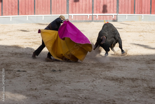 Tourada - Cavaleiro fighting the bull on the arena