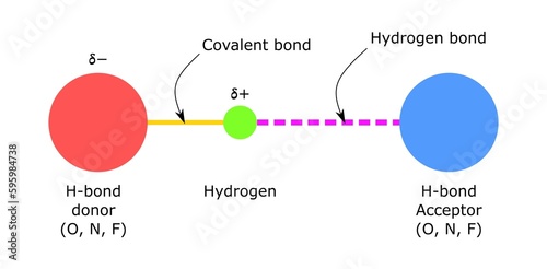 Hydrogen bonding bond covalent partial positive negative charge electronegative atom weak h bond acceptor donor chemistry chemical structure representation photo
