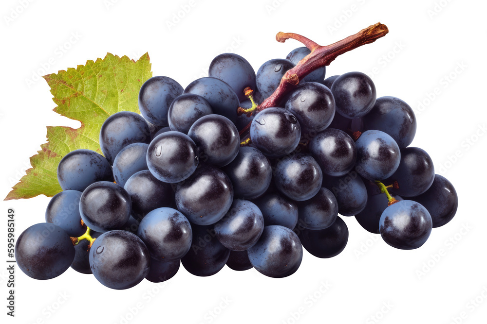 Fototapeta premium Blue grapes bunch isolated on white background. Generative AI