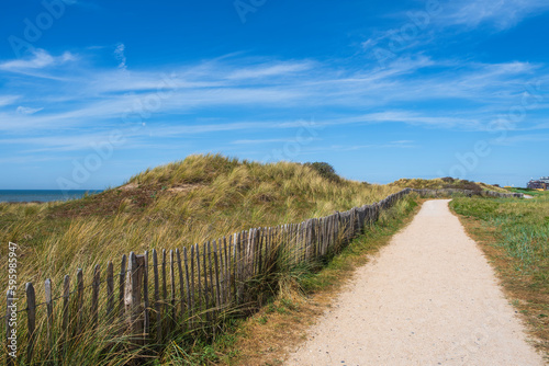 Hike through the dune reserve at Egmond aan Zee NL on a sunny day