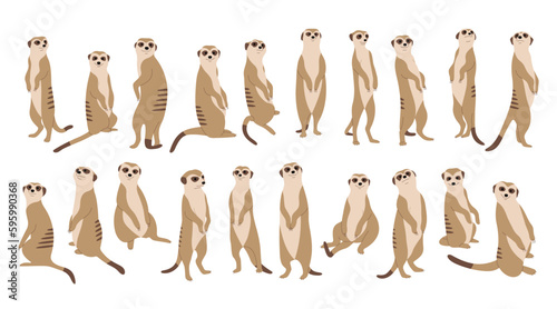 Meerkat Collection 1 cute on a white background, vector illustration
