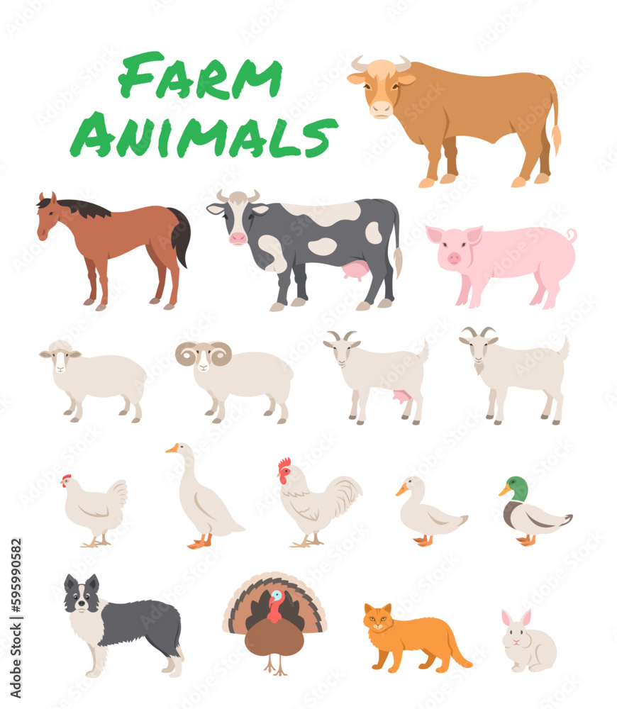 Domestic farm animals flat illustration. Cartoon infographics of large and small cattle, fowl, horse, pig, turkey, rabbit and other pets. Educational clip art of livestock, male and female species