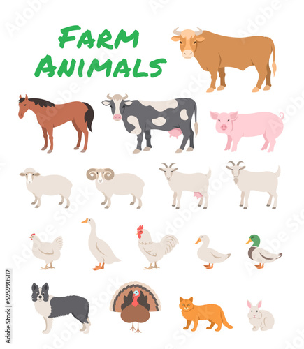 Domestic farm animals flat illustration. Cartoon infographics of large and small cattle, fowl, horse, pig, turkey, rabbit and other pets. Educational clip art of livestock, male and female species