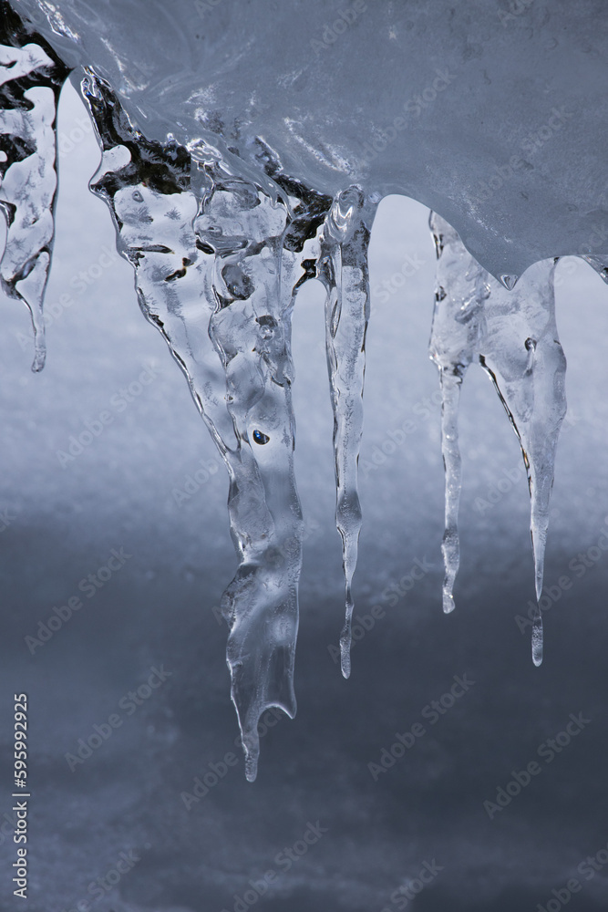 Icicle in the winter Icicle in the winter