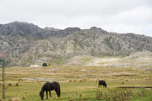 Mountainous landscape with house and horses in Los Gigantes, a mountain massif that belongs to the northern area of Sierras Grandes, a tourist destination for hiking, trekking, in Cordoba, Argentina