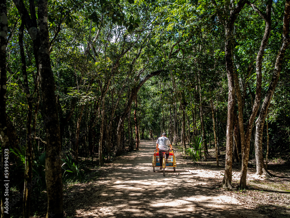 Fototapeta premium Cabbie on a bicycle in the jungle