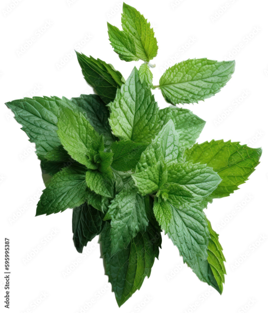 Mint leafs, isolated, generative ai Mint leafs, isolated, generative ai