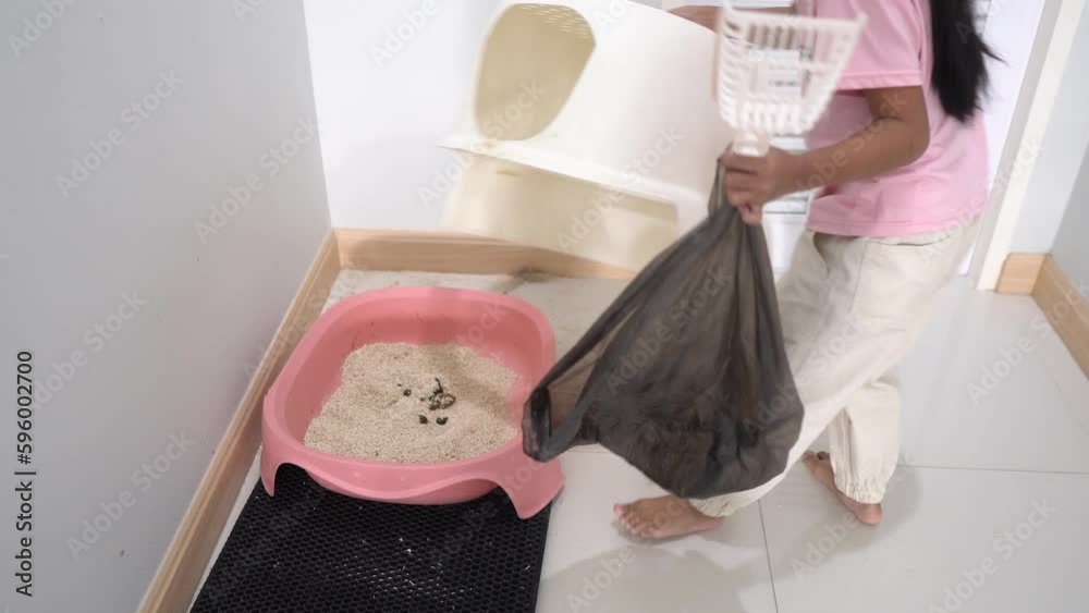 Girl picks up her cat poop to dump in the house, cat poops in the