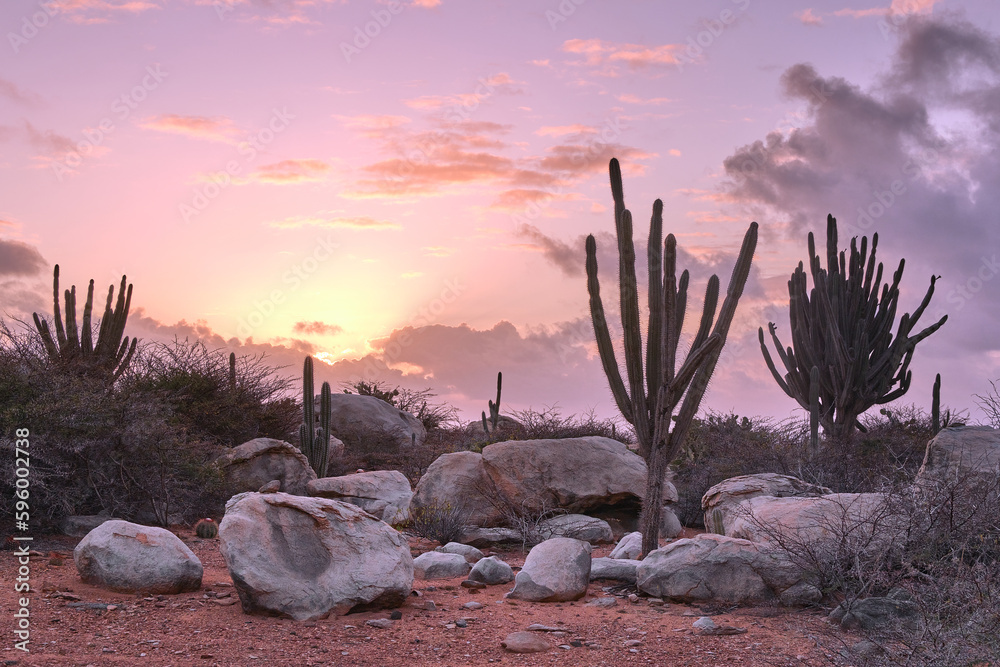 A beautiful sunrise from a hike in Aruba. there are cactus,  boulders, stones, and shrubs, with a colorful sky