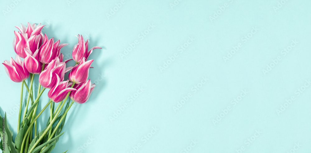 Beautiful composition spring flowers. Bouquet of pink tulips flowers on pastel blue background. Valentine's Day, Easter, Birthday, Happy Women's Day, Mother's Day. Flat lay, top view, banner