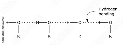 hydrogen bonding alcohol molecules h bond oxygen alkyl weak partial positive negative charge chemical structure organic chemistry