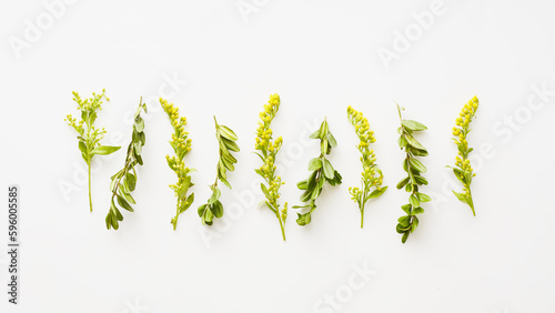 panoramic natural banner. simple floral pattern green leaves and yellow flowers