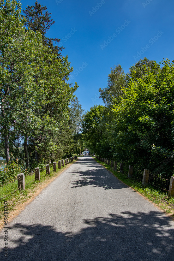 Asphalt road across the dam of the Olšina pond lined with trees. Summer day with beautiful blue sky.
