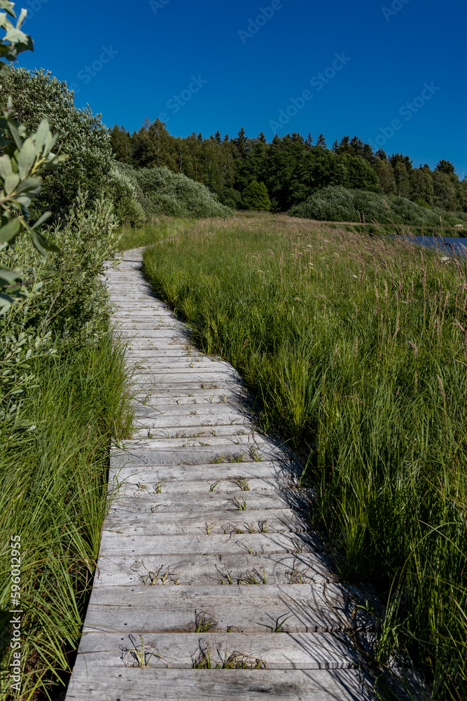 The protected area in Šumava park in Czech Republic, South Bohemia by the pond Olšina with its wooden pathways with a nest made of the branches. The protected area in Šumava park in Czech Republic, South Bohemia by the pond Olšina with its wooden pathways with a nest made of the branches.