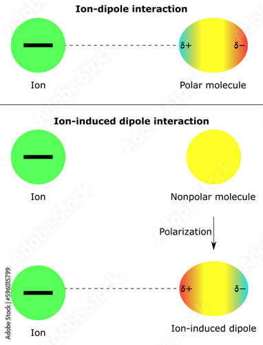 intermolecular forces ion dipole interaction ion induced nonpolar molecules polar partial positive negative charge physical chemistry physics