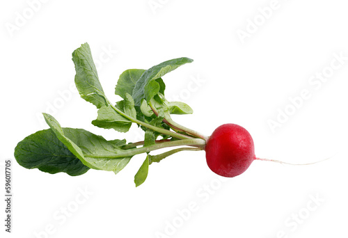 radish isolated png
