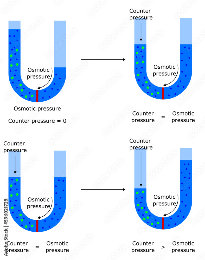 osmotic pressure osmosis reverse counter solute solvent solution